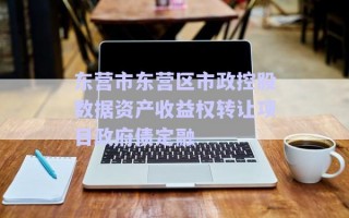 东营市东营区市政控股数据资产收益权转让项目政府债定融