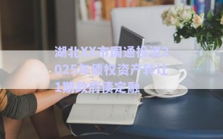 湖北XX市国通投资2025年债权资产转让1期政府债定融