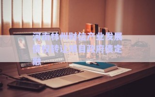 河南林州财信产业发展债权转让项目政府债定融