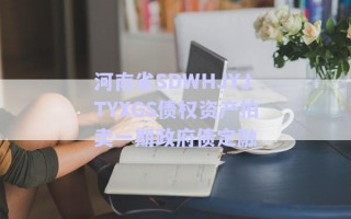 河南省SDWHJYJTYXGS债权资产拍卖一期政府债定融