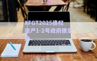 XFGT2025债权资产1-2号政府债定融
