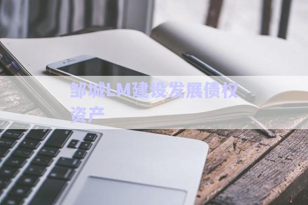 邹城LM建设发展债权资产-第1张图片-政信固收网