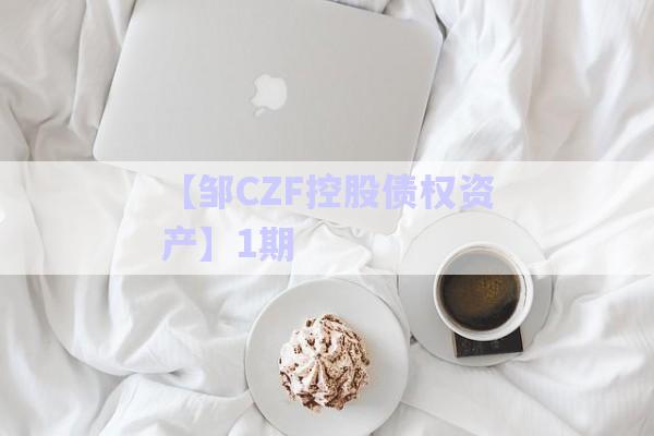 【邹CZF控股债权资产】1期-第1张图片-政信固收网