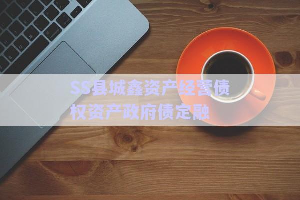 SS县城鑫资产经营债权资产政府债定融-第1张图片-政信固收网
