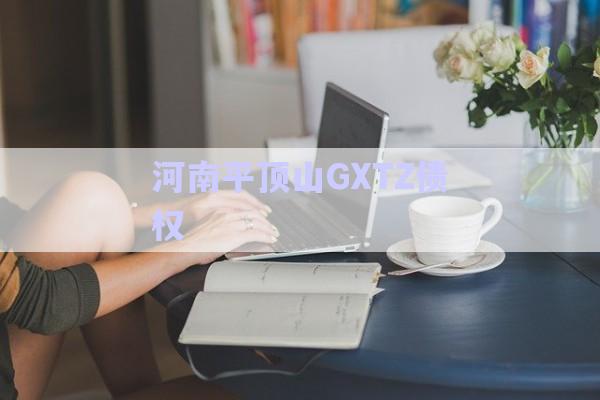 河南平顶山GXTZ债权-第1张图片-政信固收网