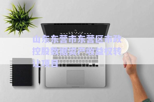 山东东营市东营区市政控股数据资产收益权转让项目-第1张图片-政信固收网