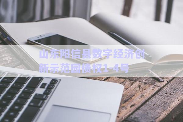 山东阳信县数字经济创新示范园债权1-4号-第1张图片-政信固收网