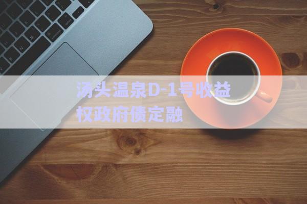 汤头温泉D-1号收益权政府债定融-第1张图片-政信固收网