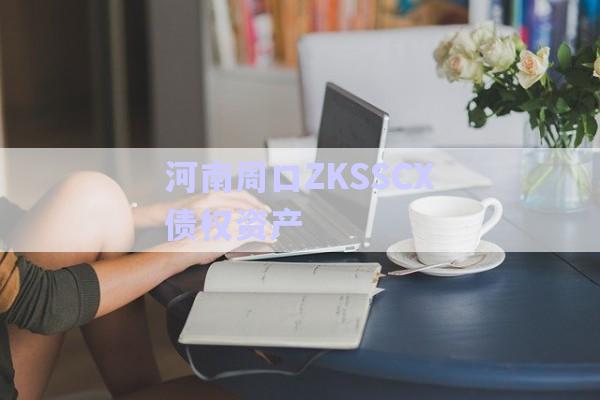 河南周口ZKSSCX债权资产-第1张图片-政信固收网
