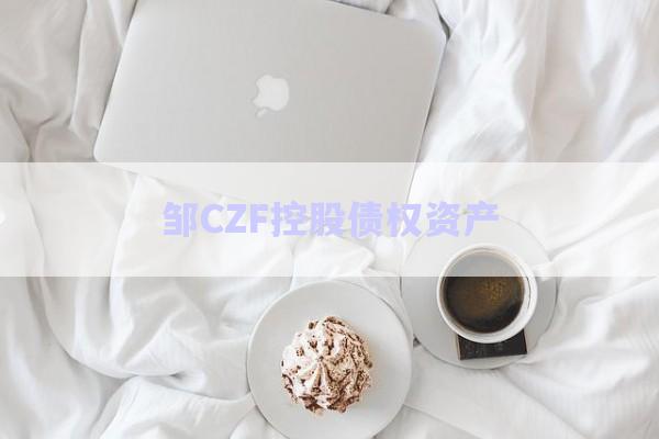 邹CZF控股债权资产-第1张图片-政信固收网