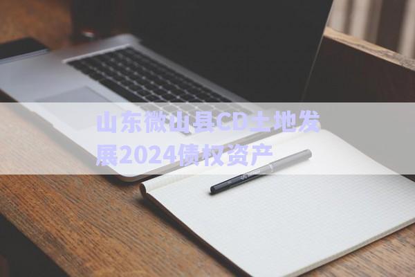 山东微山县CD土地发展2024债权资产-第1张图片-政信固收网