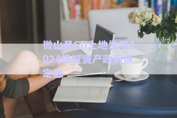 微山县CD土地发展2024债权资产政府债定融-第1张图片-政信固收网