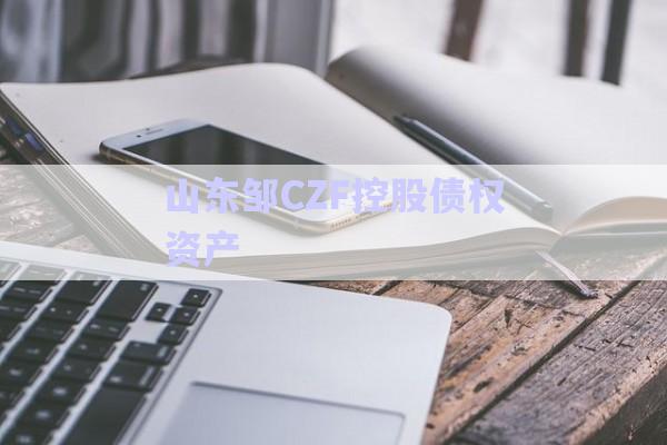 山东邹CZF控股债权资产-第1张图片-政信固收网