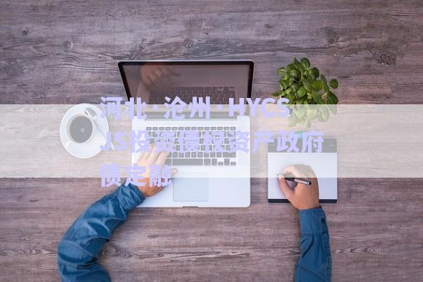 河北·沧州·HYCSJS投资债权资产政府债定融-第1张图片-政信固收网