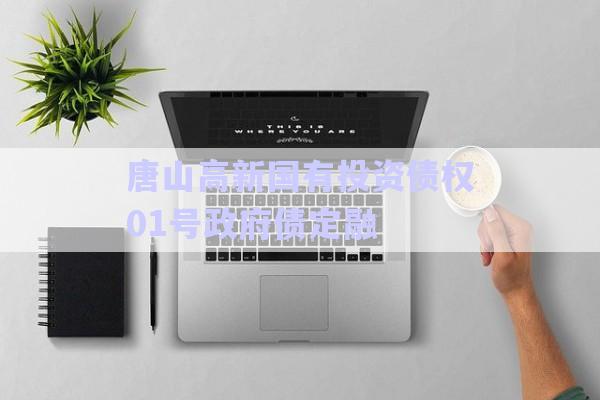 唐山高新国有投资债权01号政府债定融-第1张图片-政信固收网