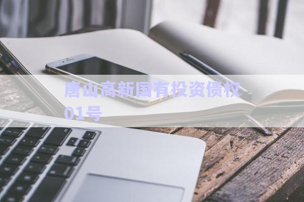 唐山高新国有投资债权01号-第1张图片-政信固收网