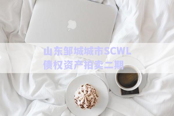 山东邹城城市SCWL债权资产拍卖二期-第1张图片-政信固收网