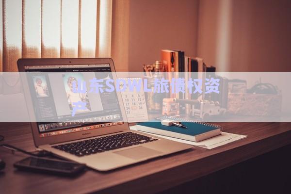 山东SDWL旅债权资产-第1张图片-政信固收网