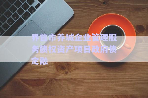 界首市养城企业管理服务债权资产项目政府债定融-第1张图片-政信固收网