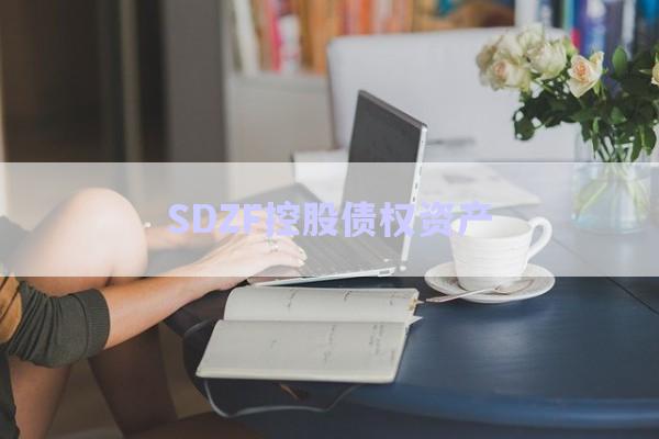 SDZF控股债权资产-第1张图片-政信固收网