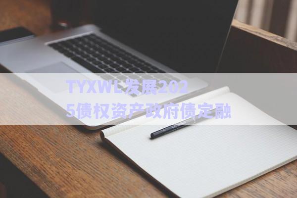 TYXWL发展2025债权资产政府债定融-第1张图片-政信固收网