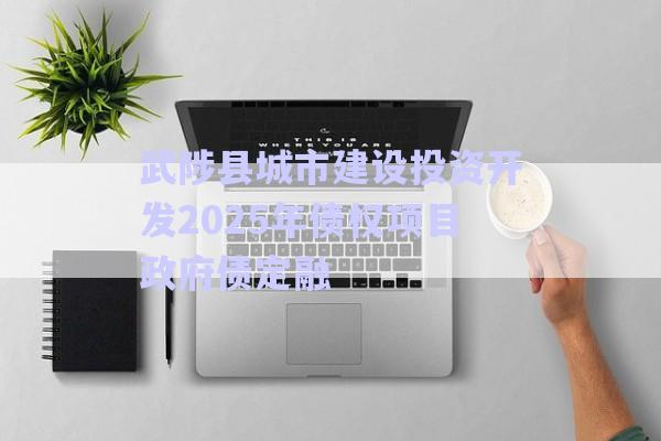 武陟县城市建设投资开发2025年债权项目政府债定融-第1张图片-政信固收网