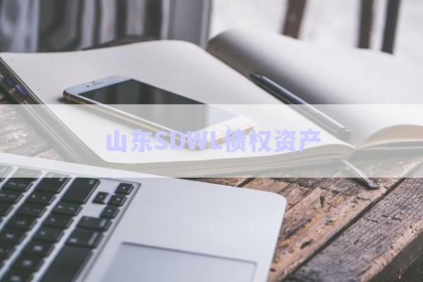 山东SDWL债权资产-第1张图片-政信固收网