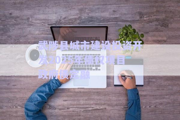 武陟县城市建设投资开发2025年债权项目政府债定融-第1张图片-政信固收网